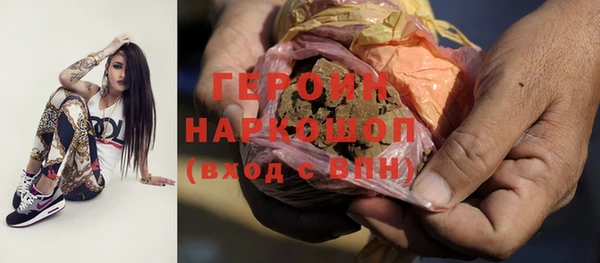 индика Беломорск