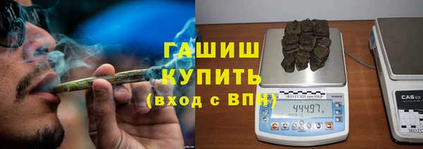 прущие грибы Богданович