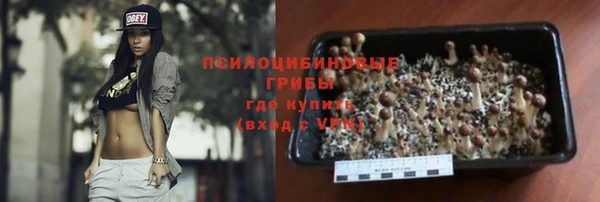 мяу мяу мука Белокуриха
