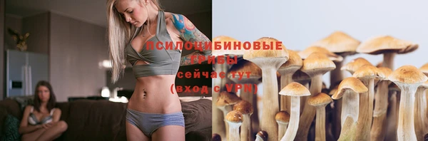 индика Беломорск
