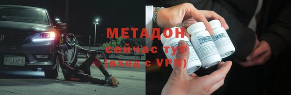прущие грибы Богданович