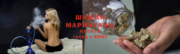 индика Беломорск