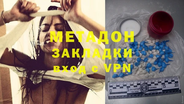 прущие грибы Богданович