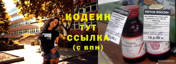 прущие грибы Богданович