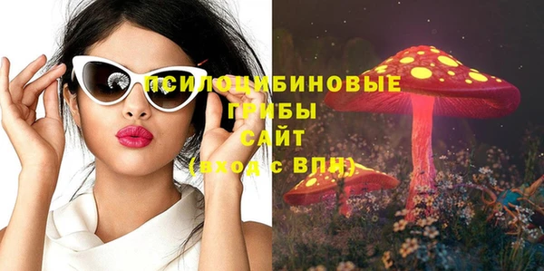 мяу мяу мука Белокуриха
