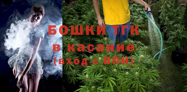 мяу мяу мука Белокуриха