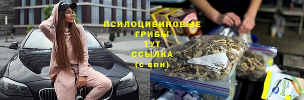 прущие грибы Богданович