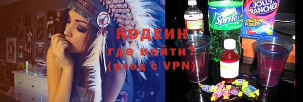 прущие грибы Богданович